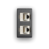 Двойной модуль RJ45 CAT6, экранированный