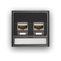Двойной модуль RJ45 CAT6, неэкранированный